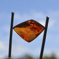 Beautiful Polished Natural Baltic Cognac Amber Cabochon by Lexx Stones