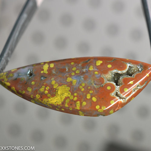 Ocean Jasper Lexx Stones