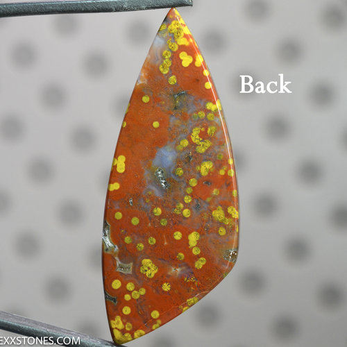 Ocean Jasper Lexx Stones