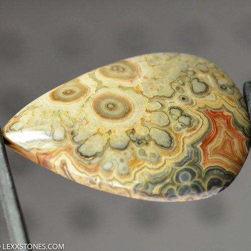 Flowering Tube Onyx Lexx Stones