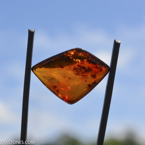 Beautiful Polished Natural Baltic Cognac Amber Cabochon by Lexx Stones