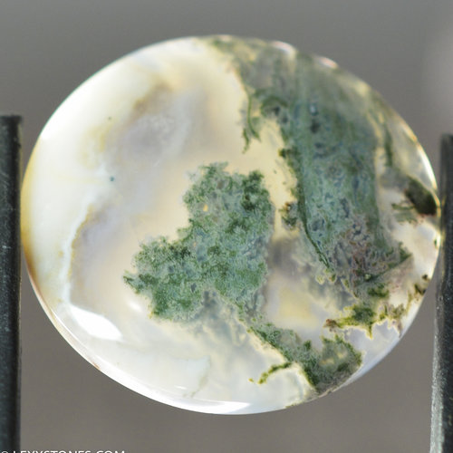 Rare Old Stock Horse Canyon Green Moss Agate  Gemstone Cabochon Hand Crafted By Lexx Stones 38 Carats
