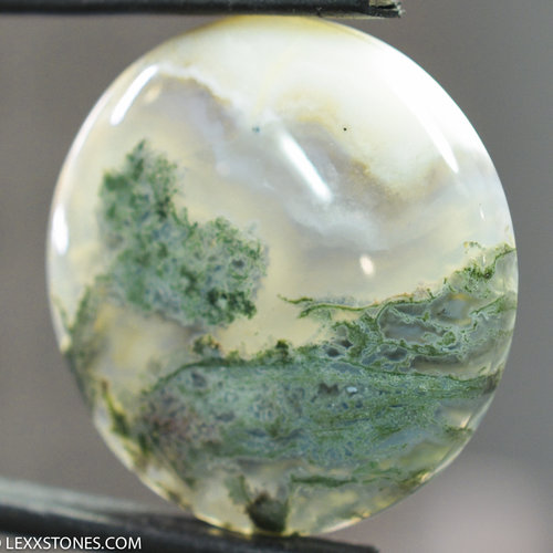 Rare Old Stock Horse Canyon Green Moss Agate  Gemstone Cabochon Hand Crafted By Lexx Stones 38 Carats