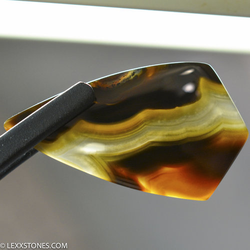 Natural Piranha  Agate Gemstone Cabochon By Lexx Stones 56 Carats