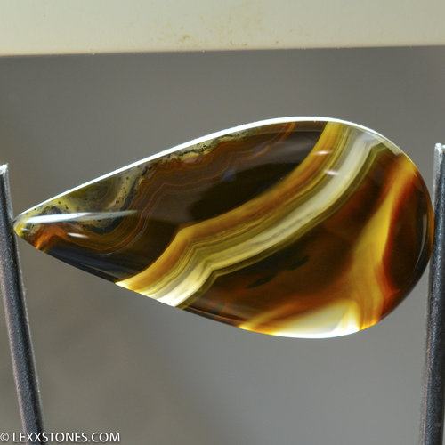 Natural Piranha  Agate Gemstone Cabochon By Lexx Stones 54 Carats
