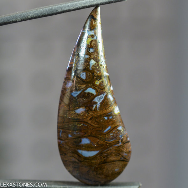 Opalized Paleo Osmunda Fern Petrified Wood  Gemstone Cabochon Hand Crafted By LEXX STONES 36 Carats