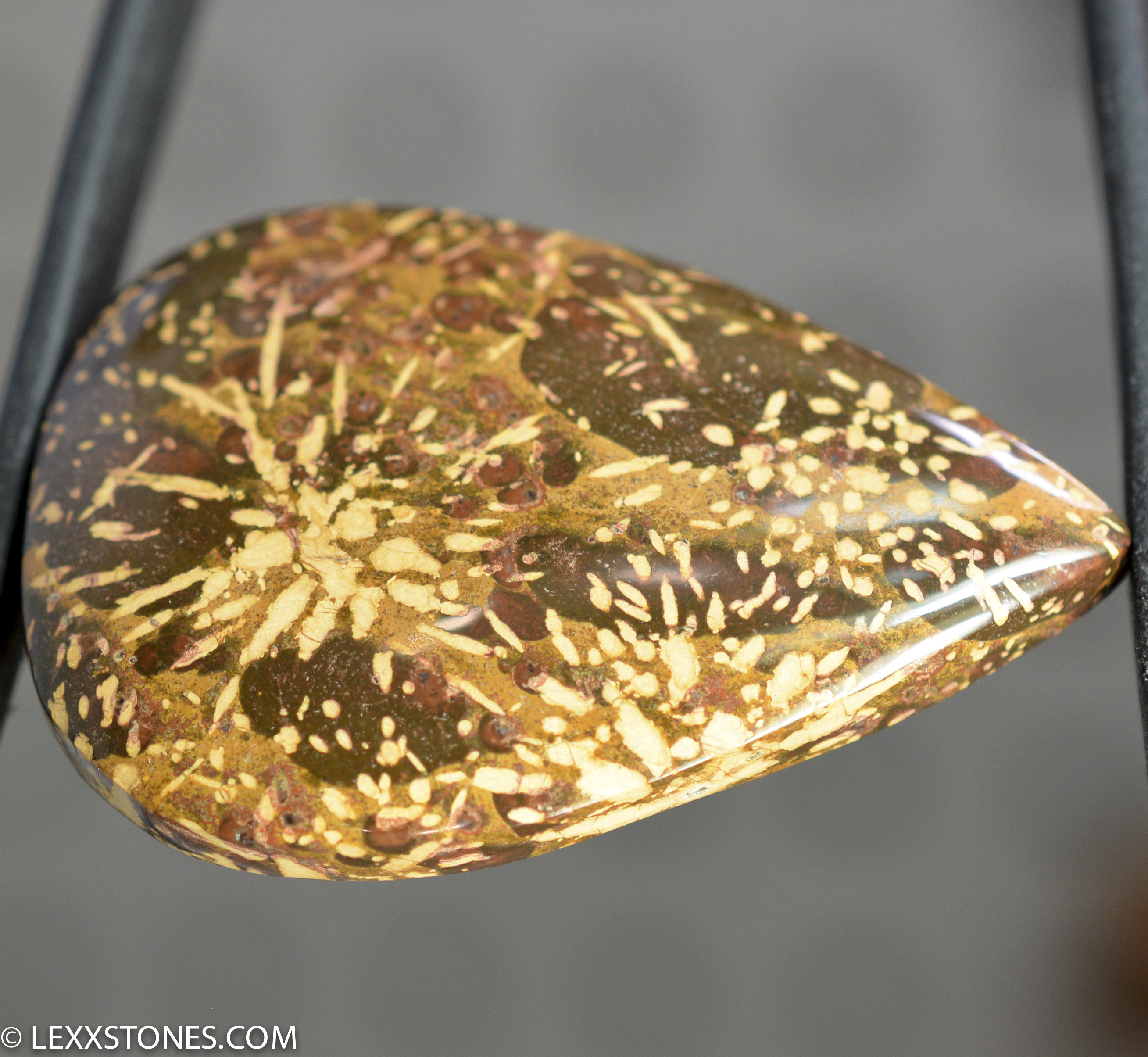 Lexx Stones Starburst Chrysanthemum Jasper | Lexx Stones