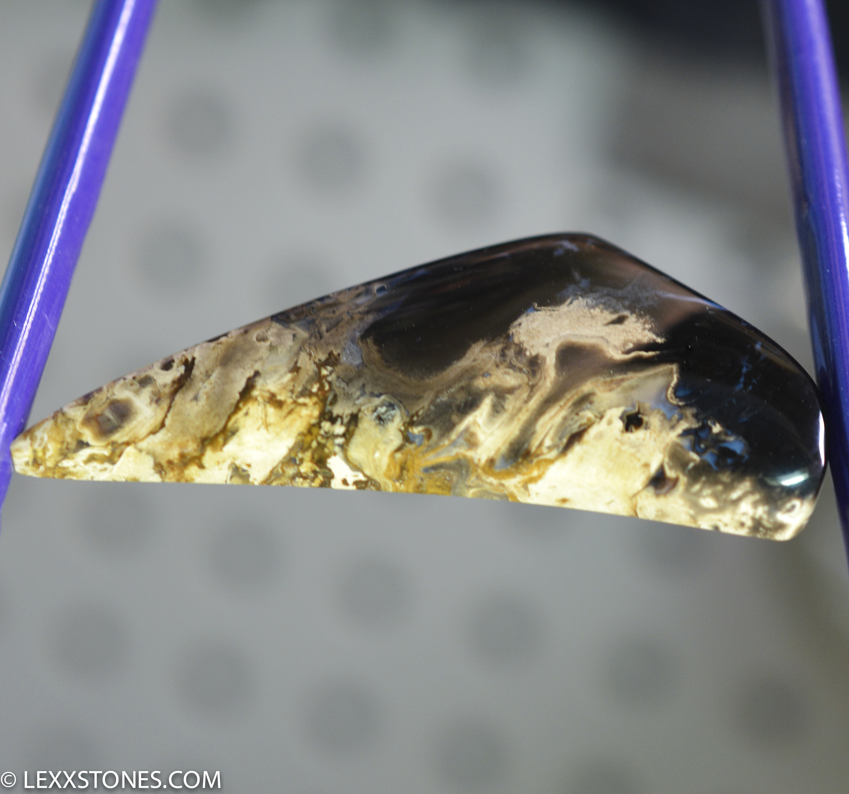 Indonesian Palm Root Lexx Stones | Lexx Stones