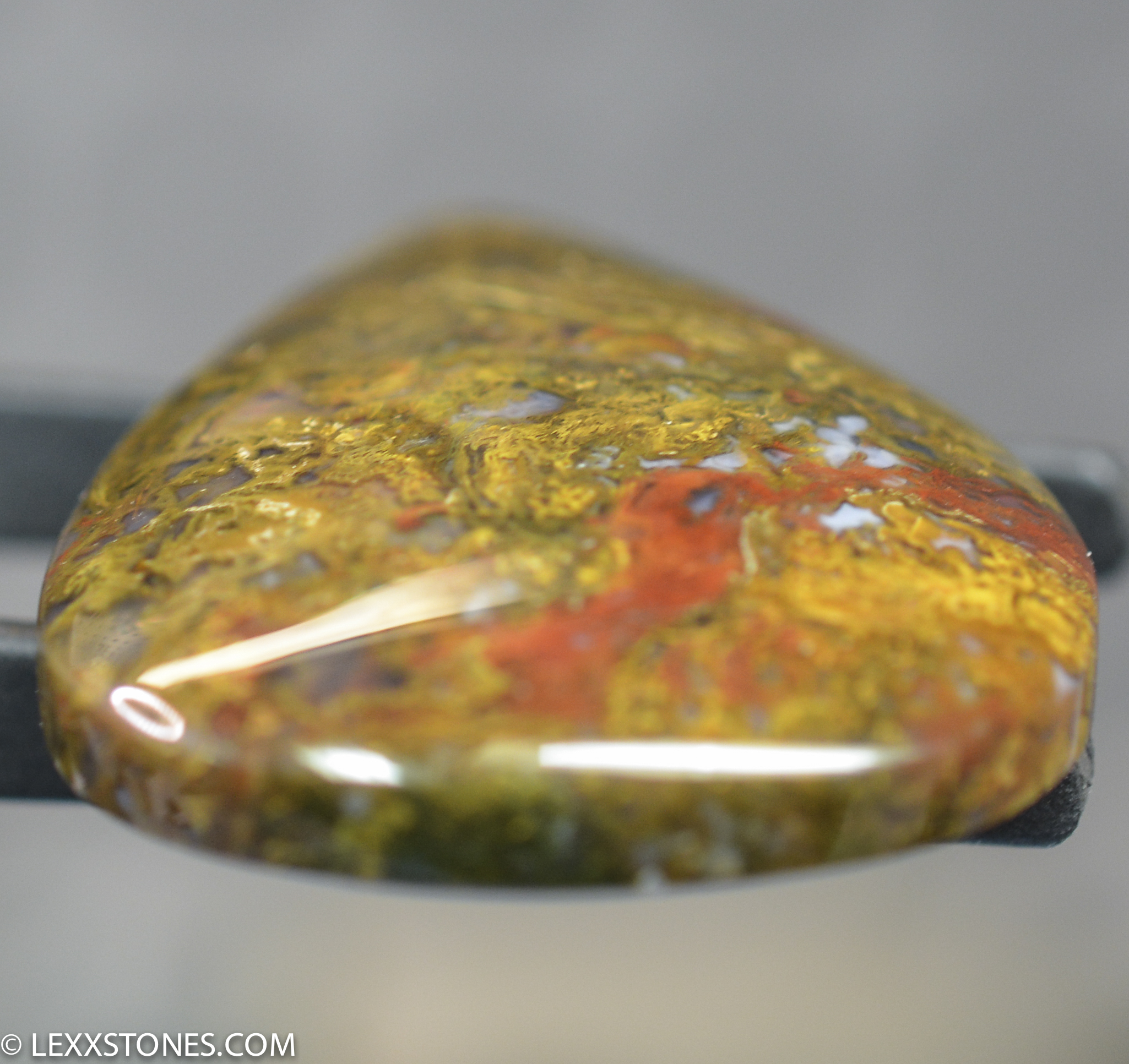 Moss shop agate indonesia