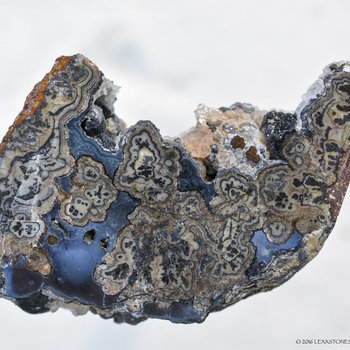 LEXXITE MOSS PLUME AGATE - Frisby Claim, Arizona