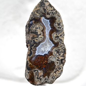 LEXXITE MOSS PLUME AGATE - Frisby Claim, Arizona