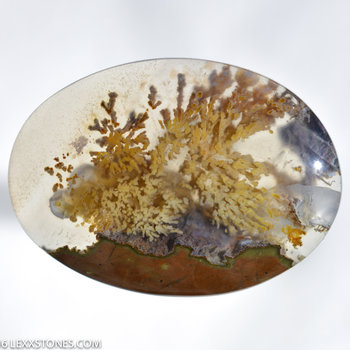 Priday Plume Agate - Madras, Oregon