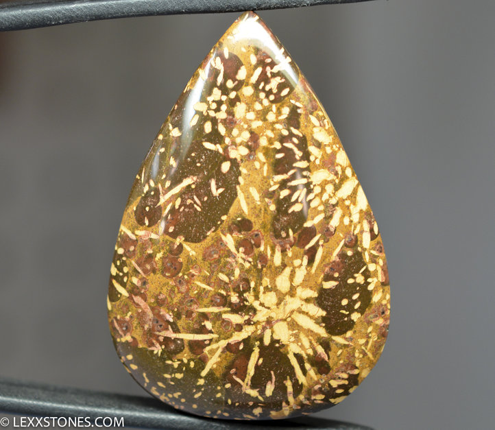 Lexx Stones Starburst Chrysanthemum Jasper Lexx Stones