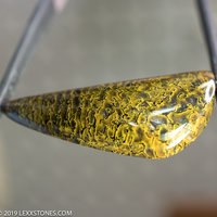 Gem Dinosaur Bone Lexx Stones