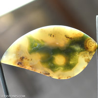 Ocean Jasper Lexx Stones