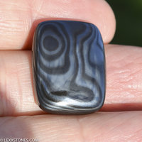 Lexx Stones Crown Of Silver Psilomelane