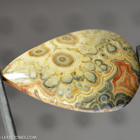 Flowering Tube Onyx Lexx Stones