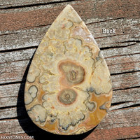 Flowering Tube Onyx Lexx Stones