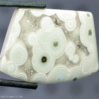 Botryoidal Ocean Jasper Lexx Stones