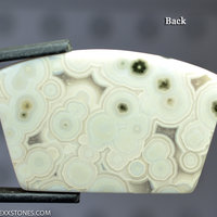 Botryoidal Ocean Jasper Lexx Stones