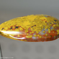 Ocean Jasper Lexx Stones