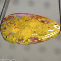 Ocean Jasper Lexx Stones