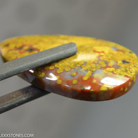 Ocean Jasper Lexx Stones