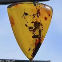 Natural Baltic Citrine Amber Cabochon by Lexx Stones