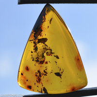 Natural Baltic Citrine Amber Cabochon by Lexx Stones