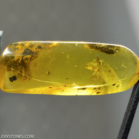 Beautiful Polished Natural Baltic Citrine Amber "Bear" by Lexx Stones 33 Carats