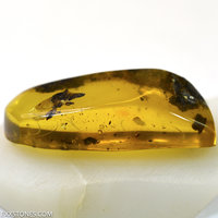 Beautiful Polished Natural Baltic Citrine Amber "Bear" by Lexx Stones 33 Carats