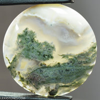 Rare Old Stock Horse Canyon Green Moss Agate  Gemstone Cabochon Hand Crafted By Lexx Stones 38 Carats