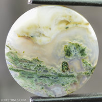 Rare Old Stock Horse Canyon Green Moss Agate  Gemstone Cabochon Hand Crafted By Lexx Stones 38 Carats