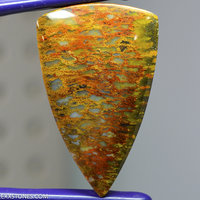 Colorful Organic Indonesian Agatized Fossilized Wood Gemstone Cabochon Hand Crafted BY LEXX STONES 70 Carats