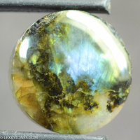 Fractal Multi Color Madagascar Labradorite Cabochon Shimmering Labradorescence Hand Crafted By LEXX STONES 22 Carats