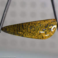 Agatized Gem Dinosaur Bone Cabochon Hand Crafted By LEXX STONES 72 Carats