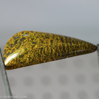 Agatized Gem Dinosaur Bone Cabochon Hand Crafted By LEXX STONES 72 Carats