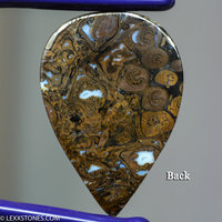 Opalized Paleo Osmunda Fern Petrified Wood  Gemstone Cabochon Hand Crafted By LEXX STONES 65 Carats