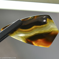 Natural Piranha  Agate Gemstone Cabochon By Lexx Stones 56 Carats