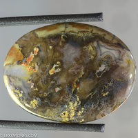 Authentic Priday Thunderegg Plume Moss Agate Gemstone Cabochon Hand Crafted By Lexx Stones 40 Carats