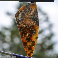 Organic Devonian Ammonite Cleoniceras Fossil  Gemstone Cabochon Hand Crafted By LEXX STONES 72 Carats