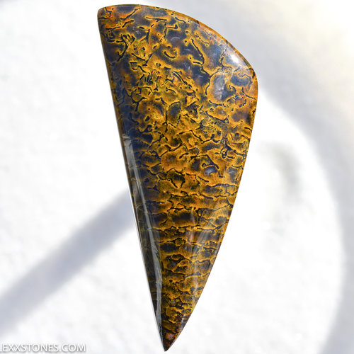 Gem Dinosaur Bone Lexx Stones