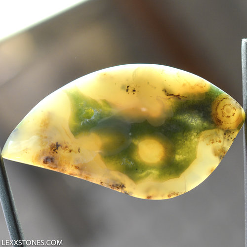 Ocean Jasper Lexx Stones