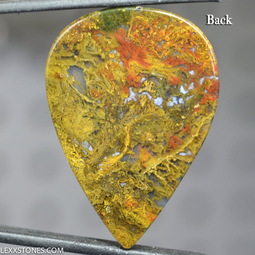 Indonesian Moss Agate Lexx Stones