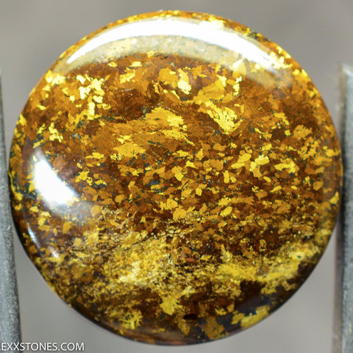 Golden Amphibolite  Lexx Stones