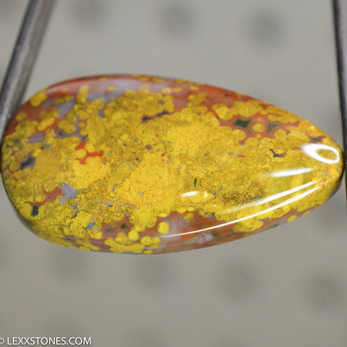 Ocean Jasper Lexx Stones