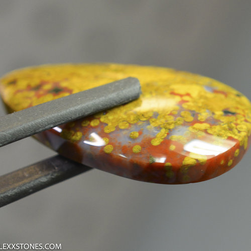 Ocean Jasper Lexx Stones