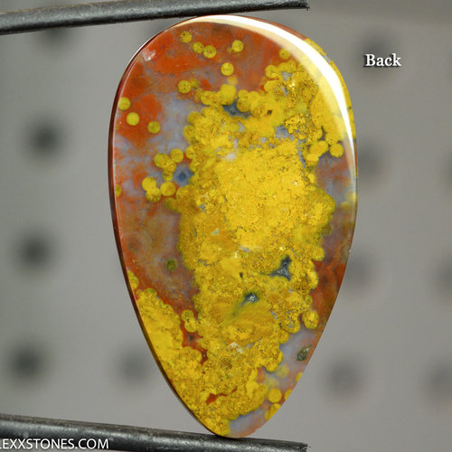 Ocean Jasper Lexx Stones