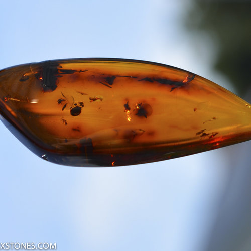 Baltic Cognac Amber Cabochon by Lexx Stones