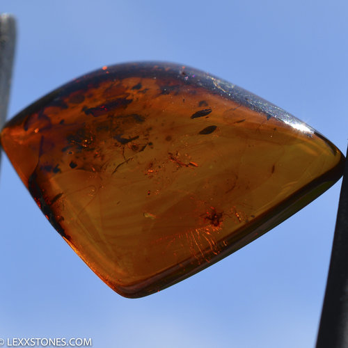 Beautiful Polished Natural Baltic Cognac Amber Cabochon by Lexx Stones